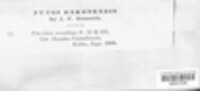 Image Associated With the Occurence
